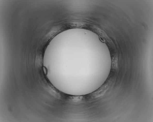 X0000111450474200907271234