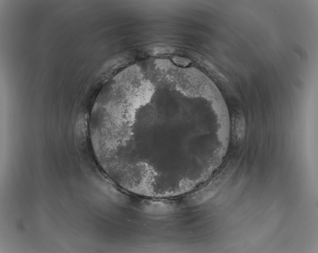 X0000111450475200907271234