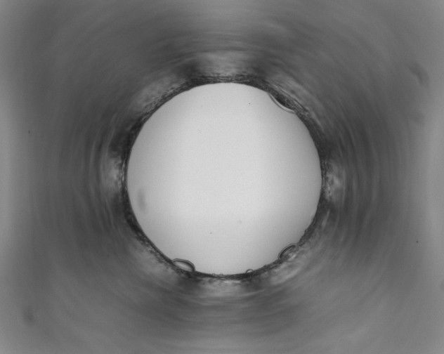 X0000111450476200907271234
