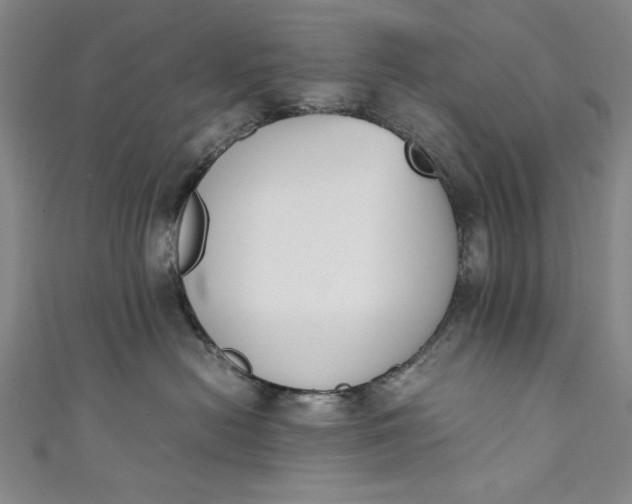X0000111450478200907271234