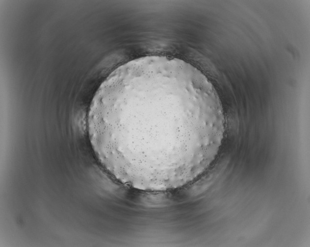 X0000111450479200907271234