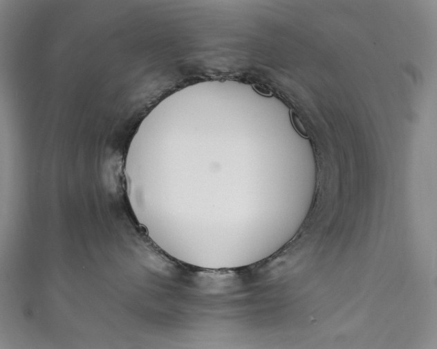 X0000111450480200907271234