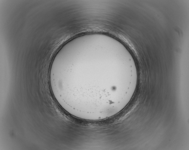 X0000111450481200907271234