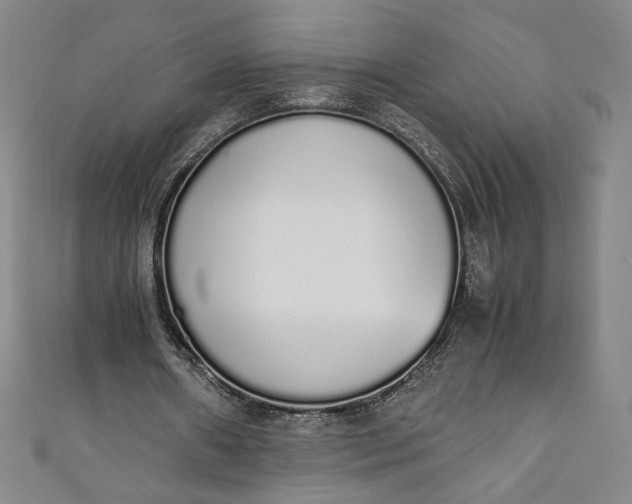 X0000111450482200907271234