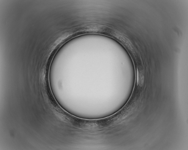 X0000111450483200907271234