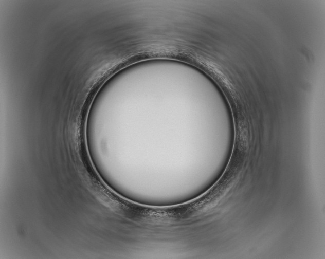 X0000111450487200907271233