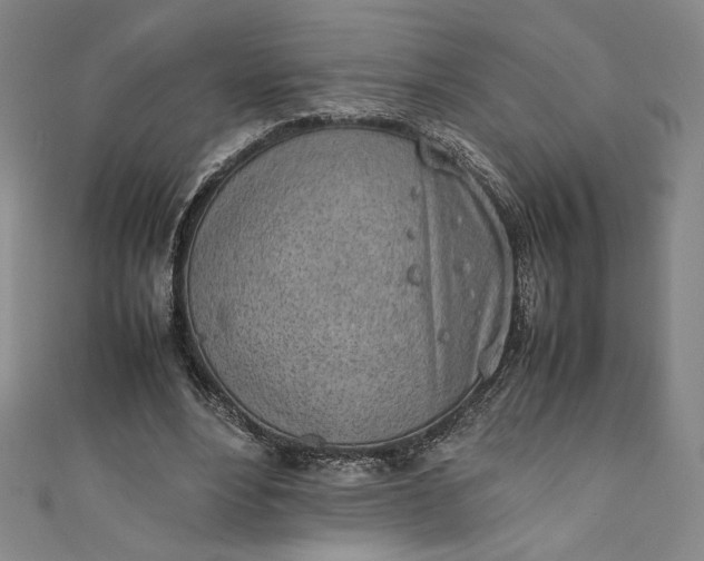 X0000111450488200907271233