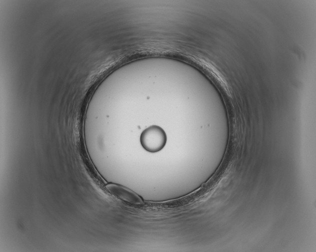 X0000111450489200907271233