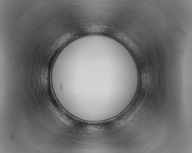 X0000111450490200907271233
