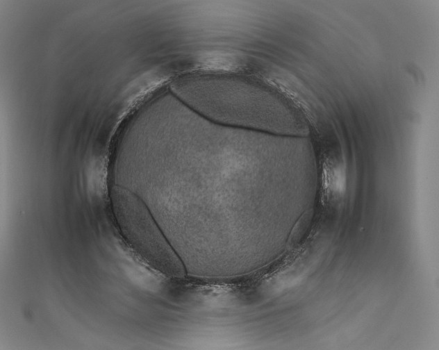 X0000111450492200907271233