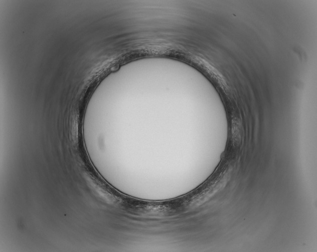 X0000111450493200907271233