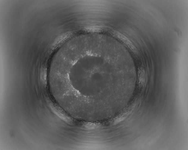 X0000111450494200907271233