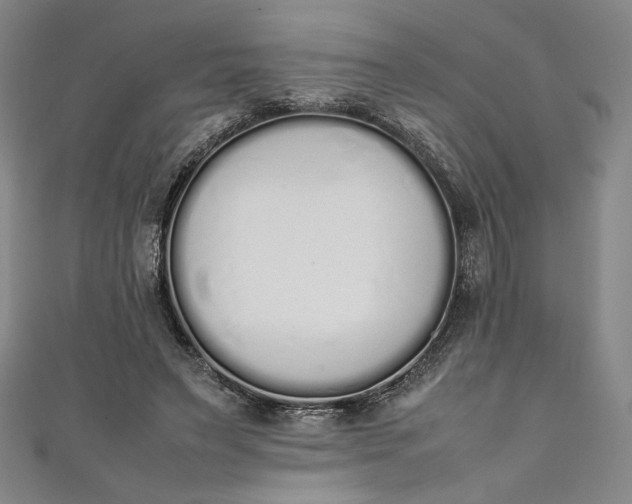 X0000111450495200907271233