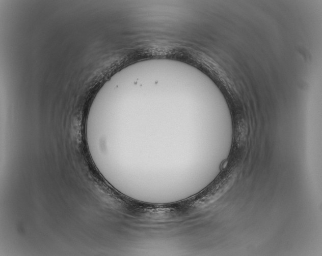 X0000111450497200907271233
