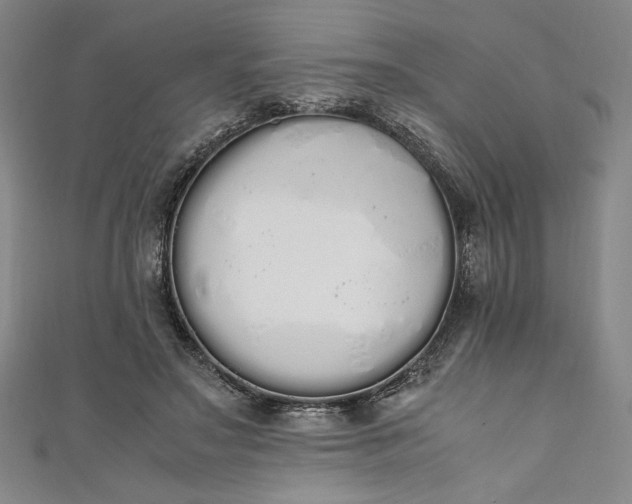 X0000111450499200907271233