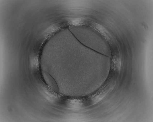 X0000111450500200907271233
