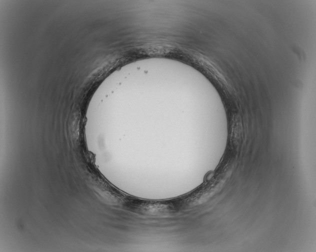 X0000111450501200907271233