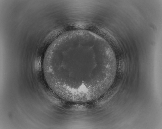 X0000111450502200907271233