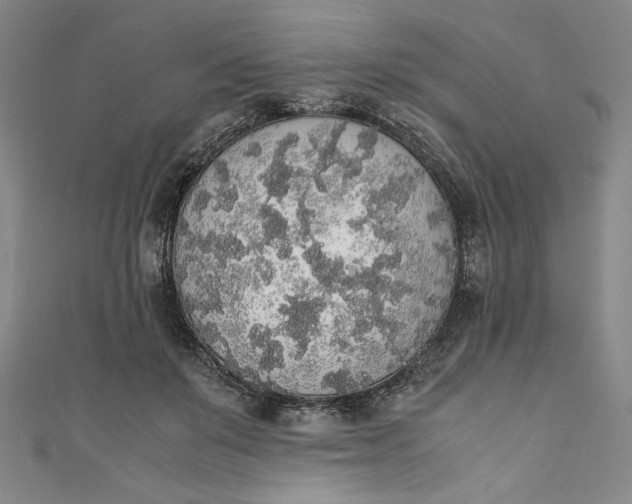 X0000111450503200907271233