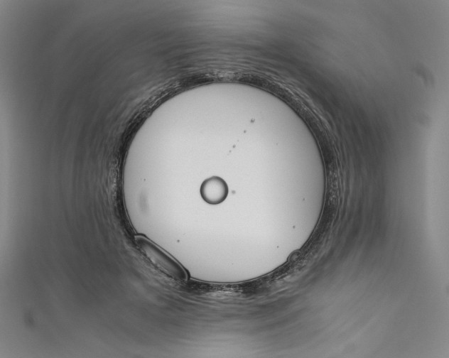 X0000111450505200907271233
