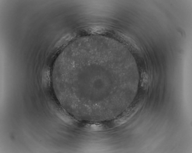 X0000111450506200907271233
