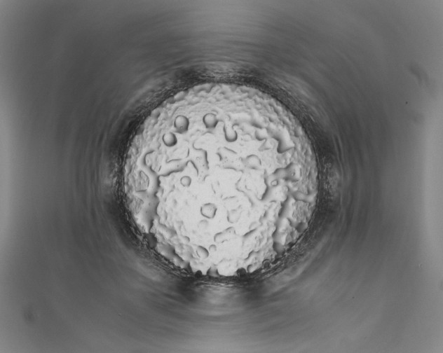 X0000111450507200907271233