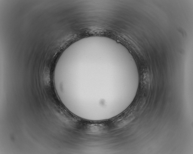 X0000111450508200907271233