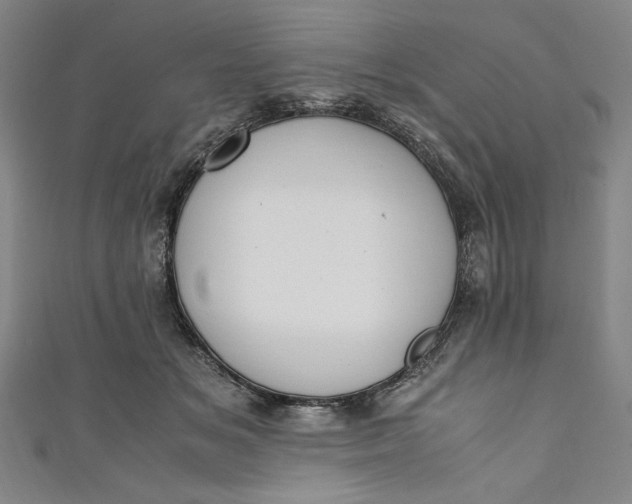 X0000111450509200907271233