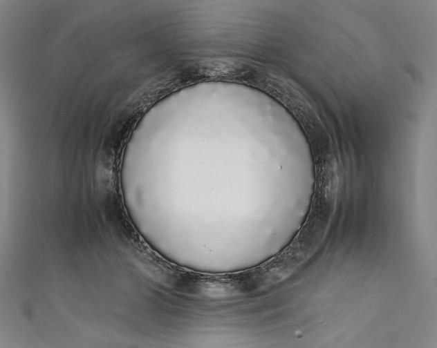 X0000111450510200907271233
