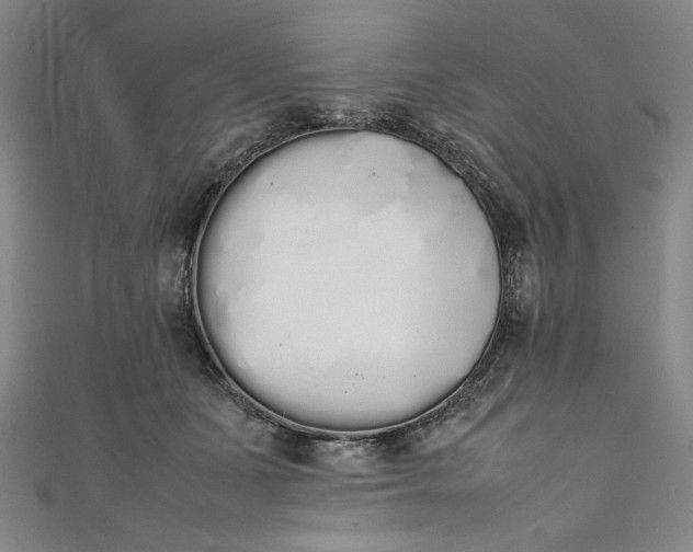 X0000111450511200907271233