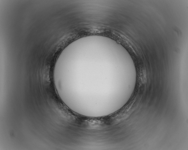 X0000111450512200907271233