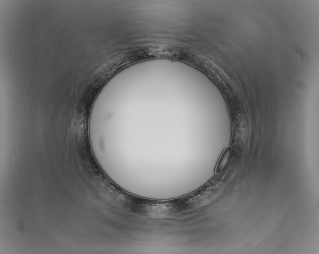 X0000111450513200907271233