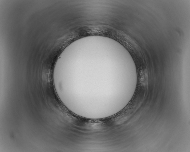 X0000111450514200907271233