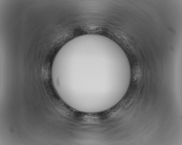X0000111450515200907271233