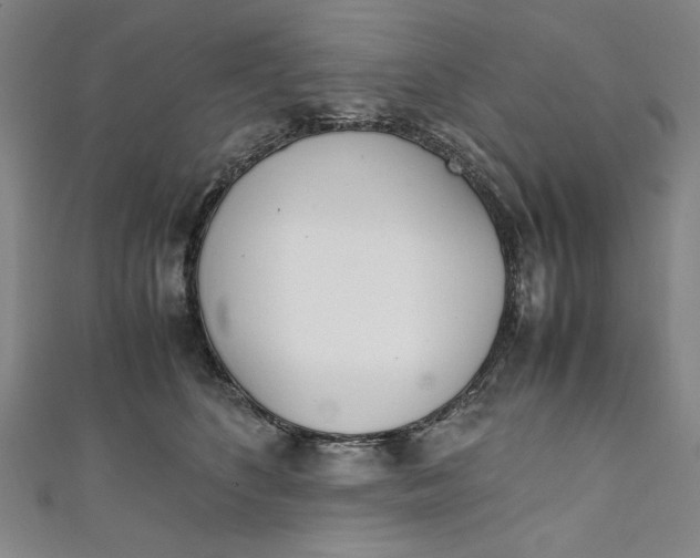 X0000111450516200907271233