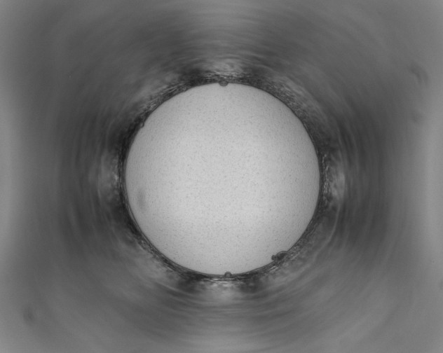 X0000111450518200907271233