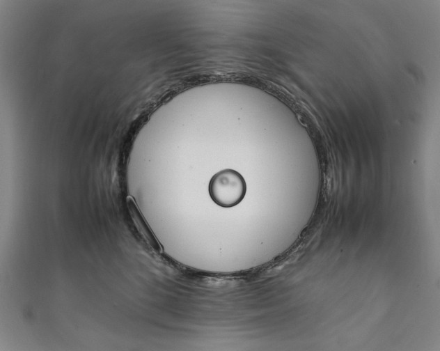 X0000111450520200907271233