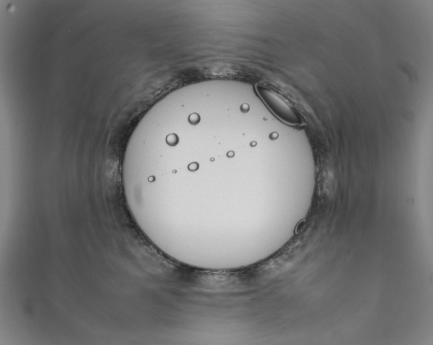X0000111450521200907271233