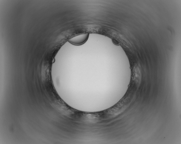X0000111450522200907271233