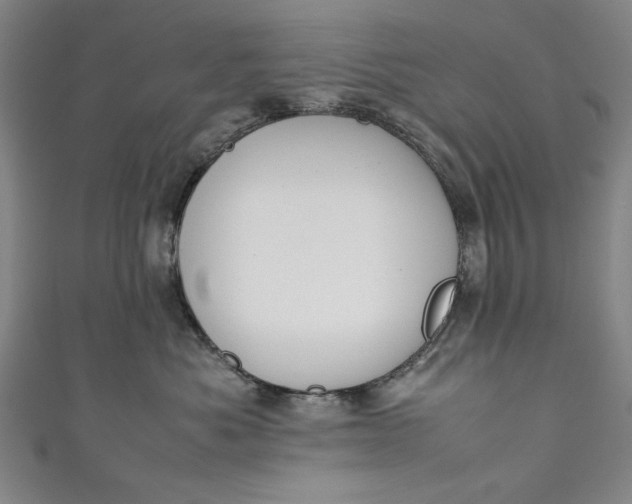X0000111450525200907271233