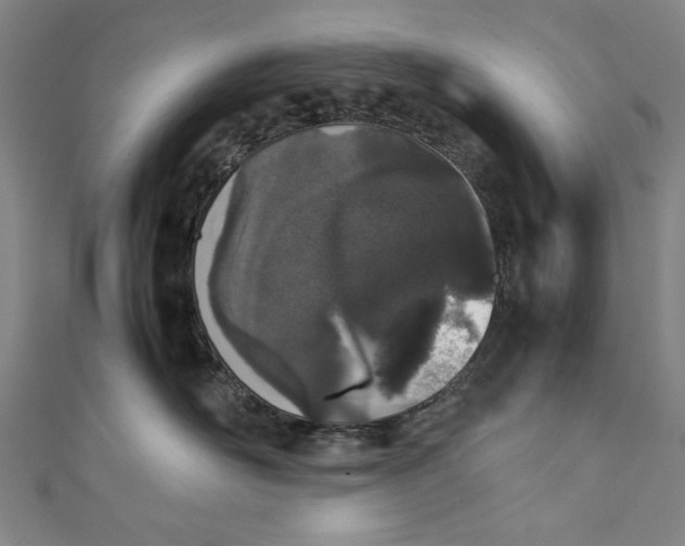 X0000111450526200907271233