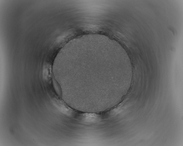 X0000111450528200907271233