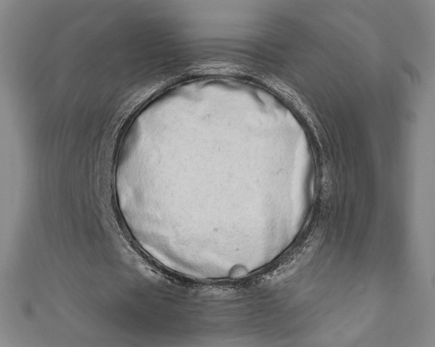X0000111450529200907271232