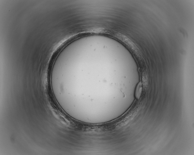X0000111450532200907271232