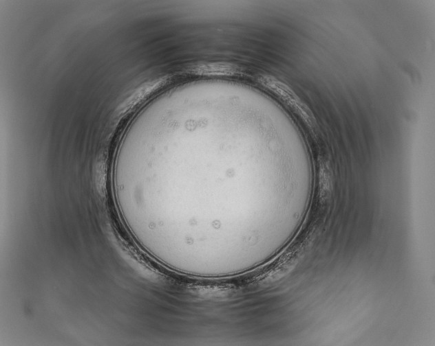 X0000111450533200907271232