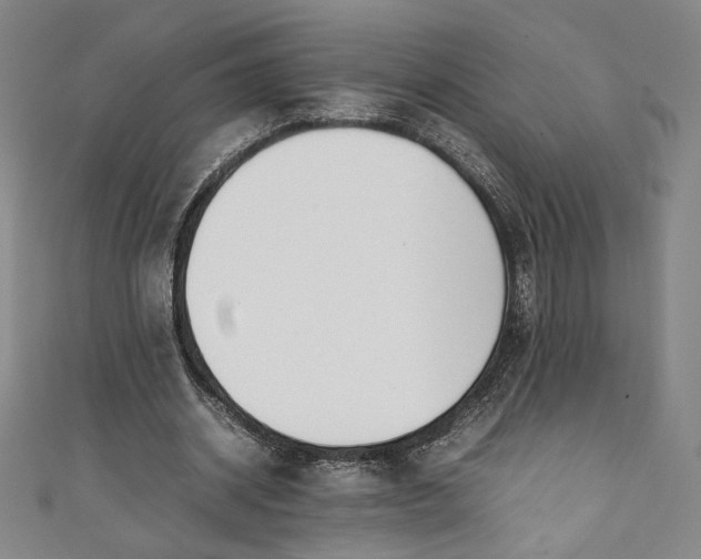 X0000111450534200907271232