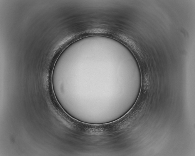 X0000111450535200907271232