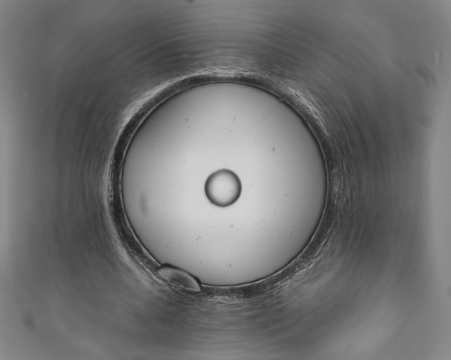 X0000111450536200907271232