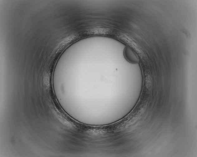 X0000111450537200907271232