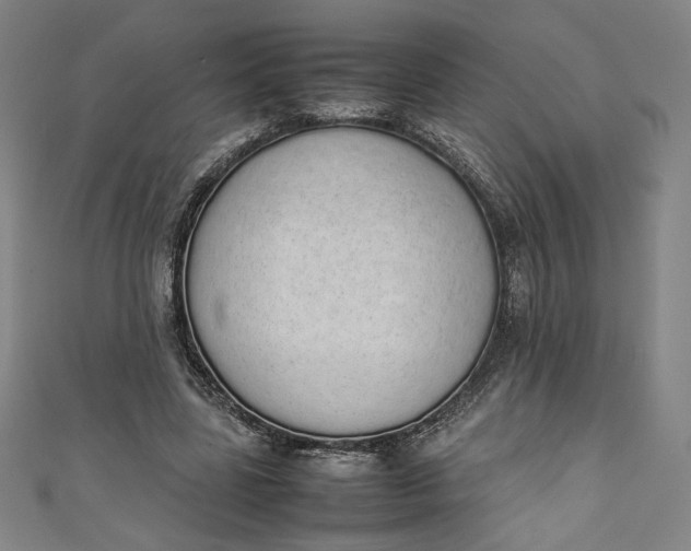 X0000111450539200907271232